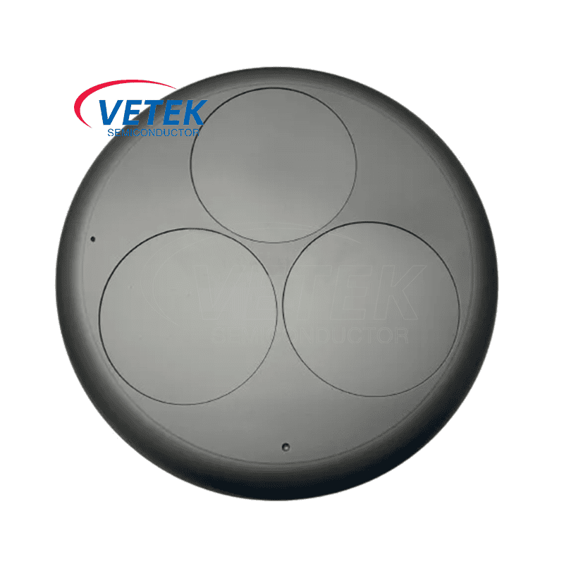 CVD SIC Coating Wafer Epi Rumceptor